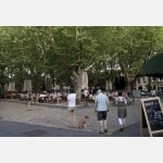 Beestenmarkt. Asi netřeba vysvětlovat, proč tohle náměstí během podzimu a zimy vypadá naprosto odlišně. Beestenmarkt. Asi netřeba vysvětlovat, proč tohle náměstí během podzimu a zimy vypadá naprosto odlišně.